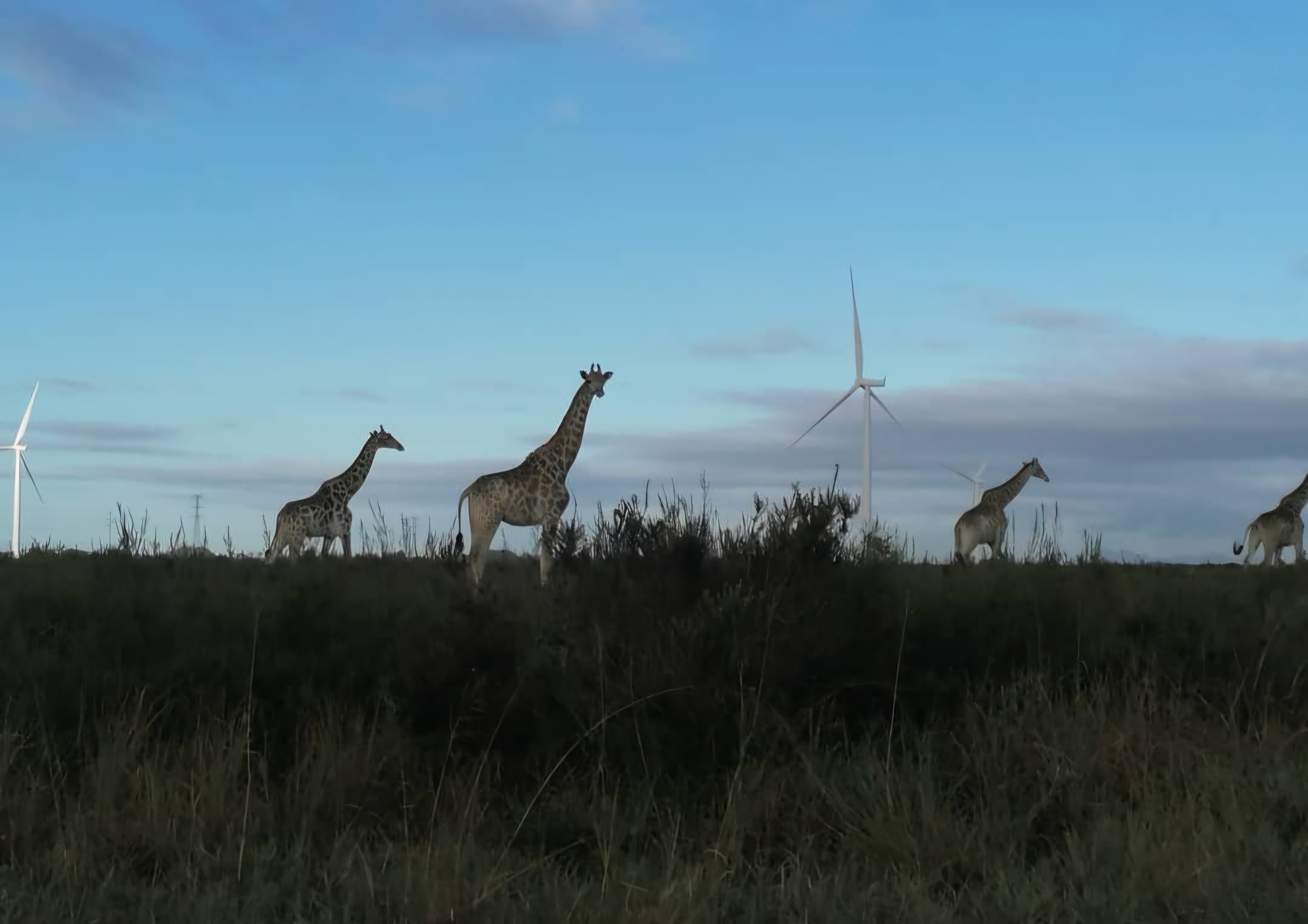 Screenshot_20250711_164829_Instagram